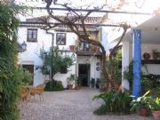 Molino de Los  Abuelos. Comares, M�laga